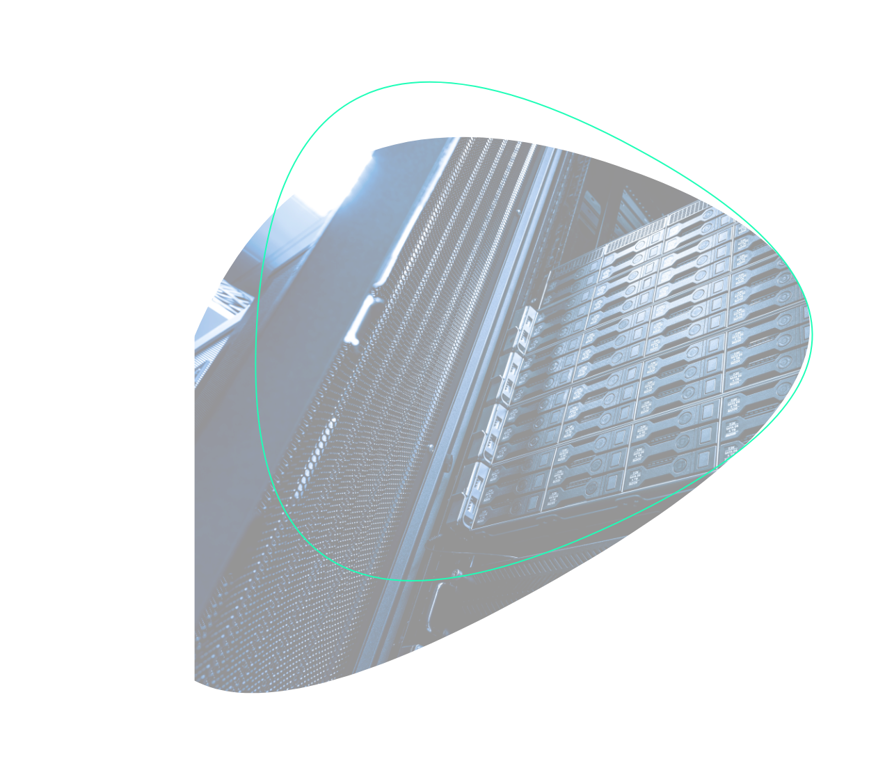 svg hosting & conectividad